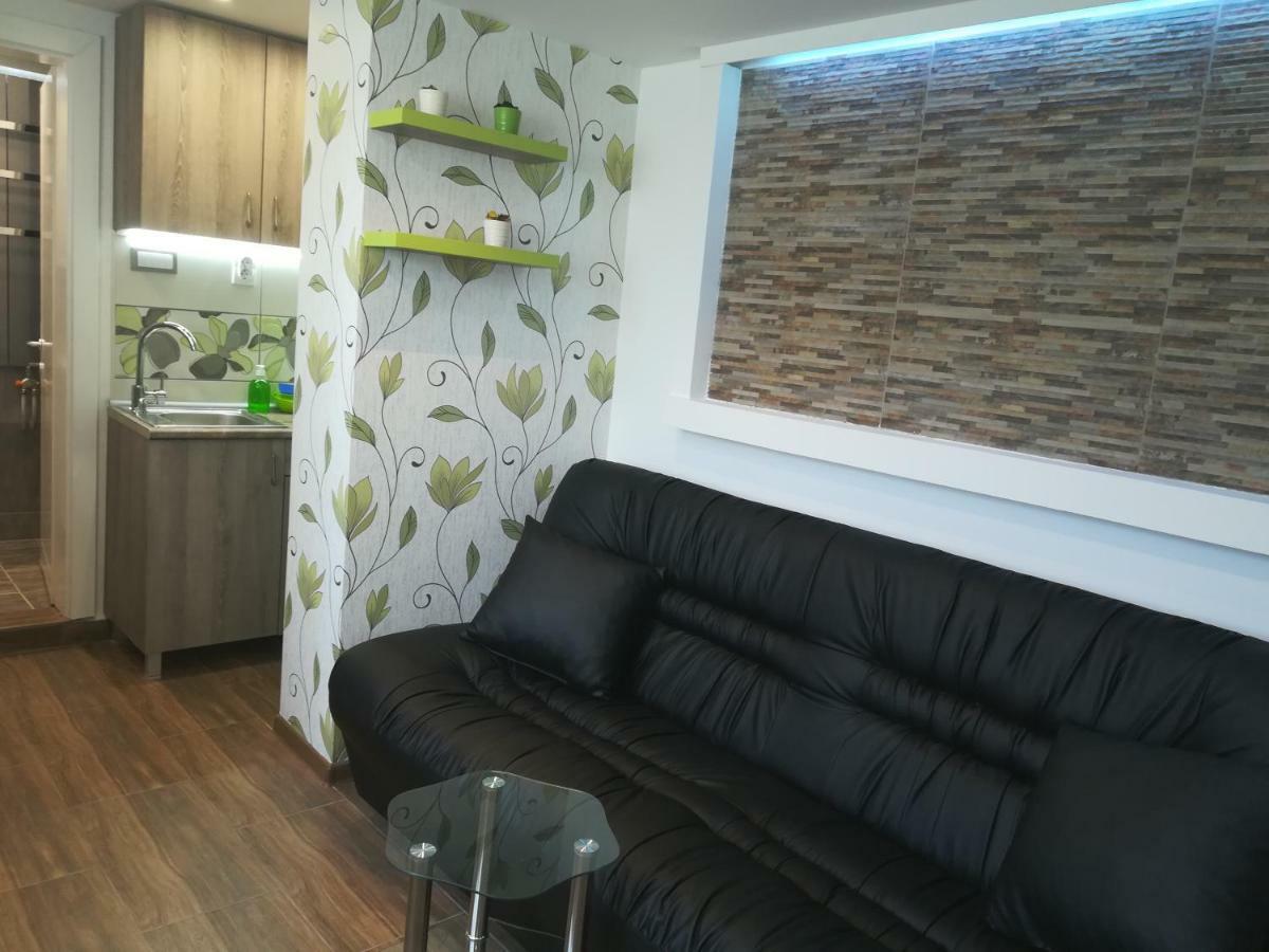 Classy And Cozy - Parking - 3 Beds - Near Center Νόβι Σαντ Εξωτερικό φωτογραφία